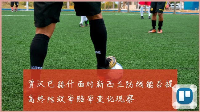 贾汉巴赫什面对新西兰防线能否提高终结效率赔率变化观察