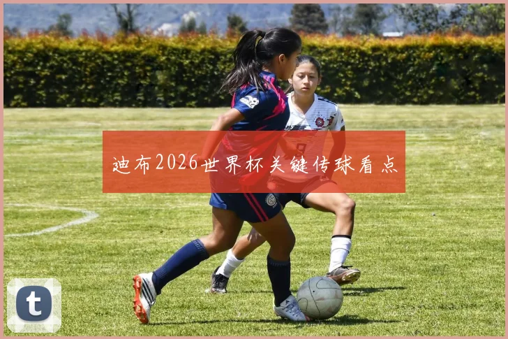 迪布2026世界杯关键传球看点