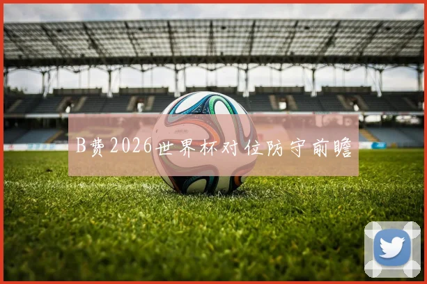 B费2026世界杯对位防守前瞻