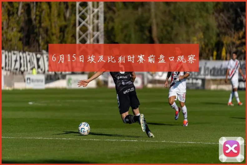 6月15日埃及比利时赛前盘口观察