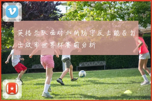 英格兰队面对加纳防守反击能否打出效率世界杯赛前分析