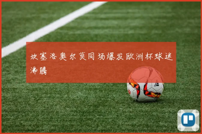 坎塞洛奥尔莫同场爆发欧洲杯球迷沸腾