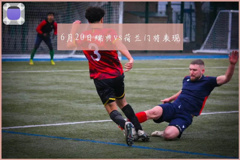 6月20日瑞典vs荷兰门将表现