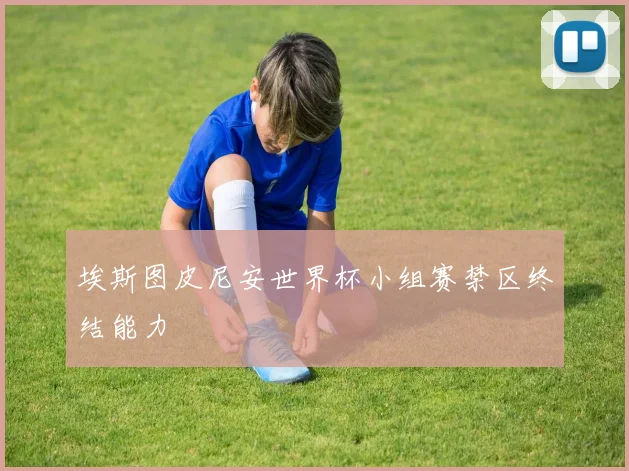 埃斯图皮尼安世界杯小组赛禁区终结能力